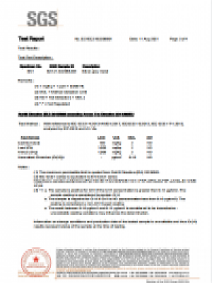 2022年SGS認(rèn)證報(bào)告