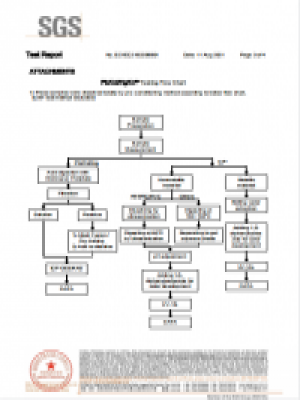 2022年SGS報(bào)告
