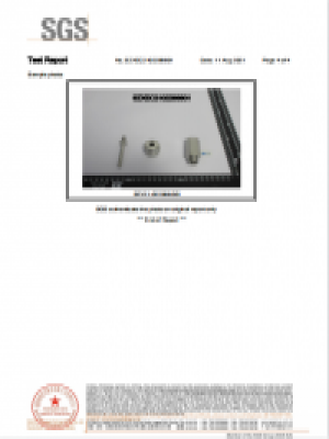 2022年SGS報(bào)告